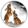 01-2023-year-of-the-rabbit-1oz-silver-proof-coloured-coin-straighton-highres