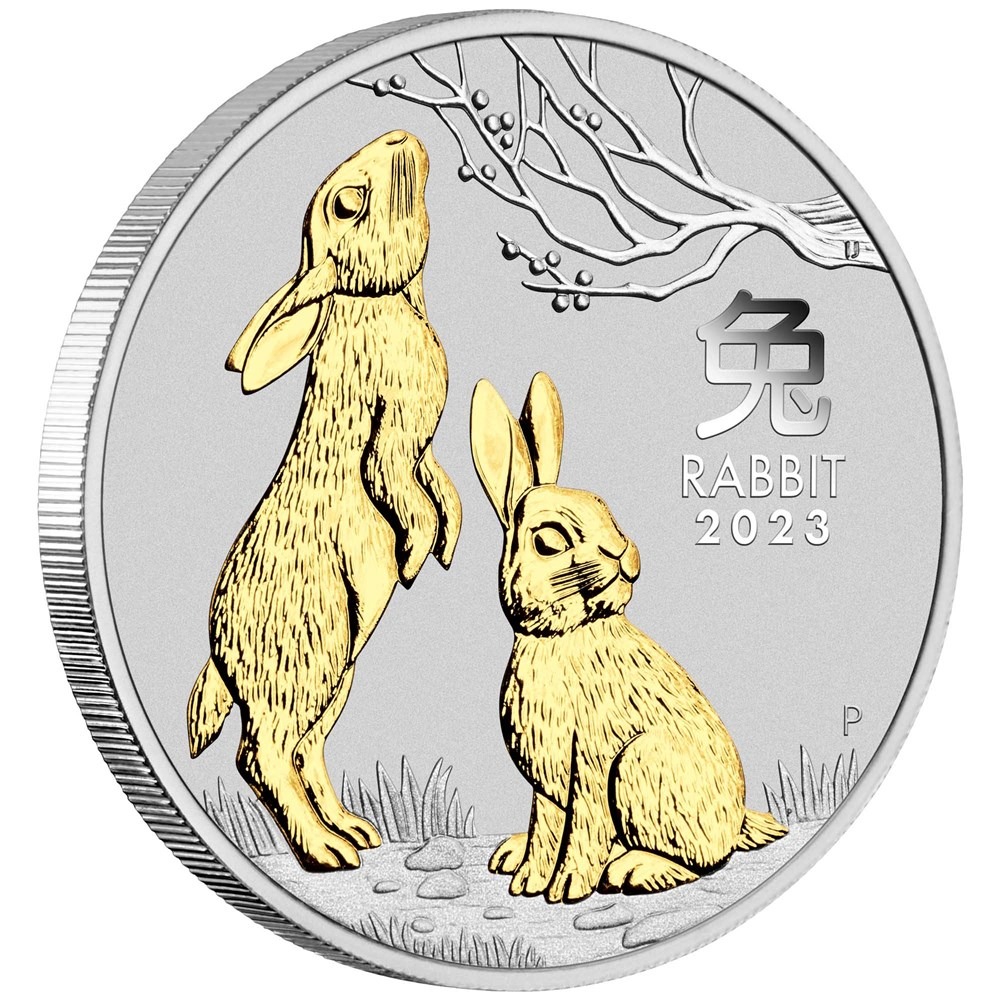 01-2023-year-of-the-rabbit-1oz-silver-gilded-coin-onedge-highres