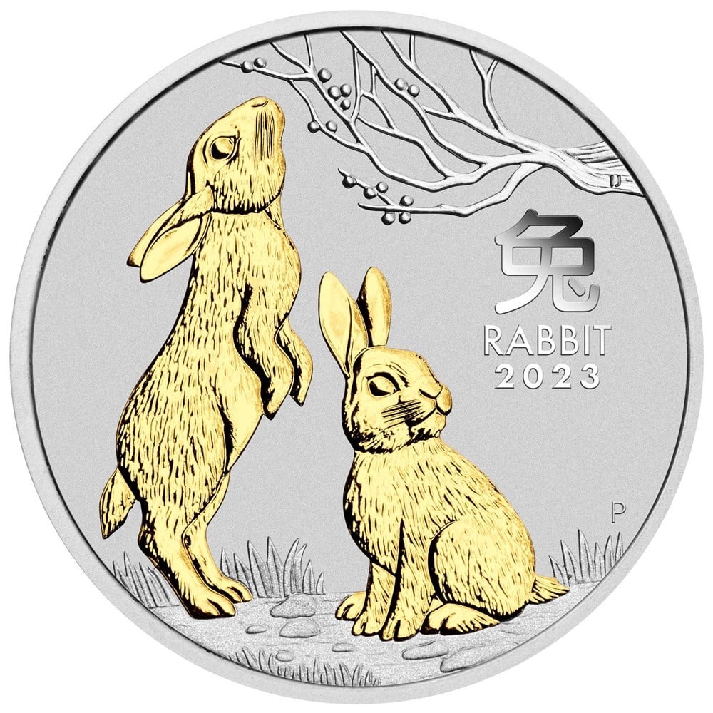02-2023-year-of-the-rabbit-1oz-silver-gilded-coin-straighton-highres