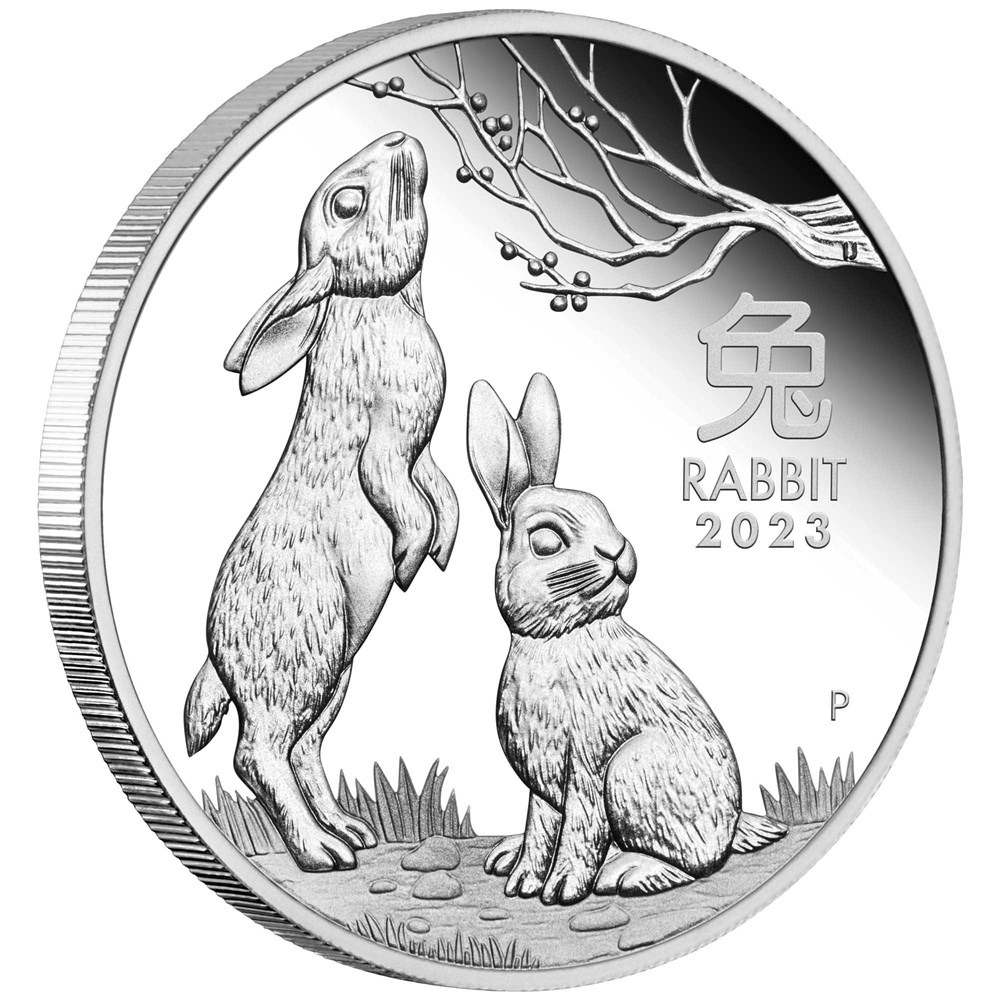 03-2023-year-of-the-rabbit-1oz-silver-proof-coin-onedge-highres